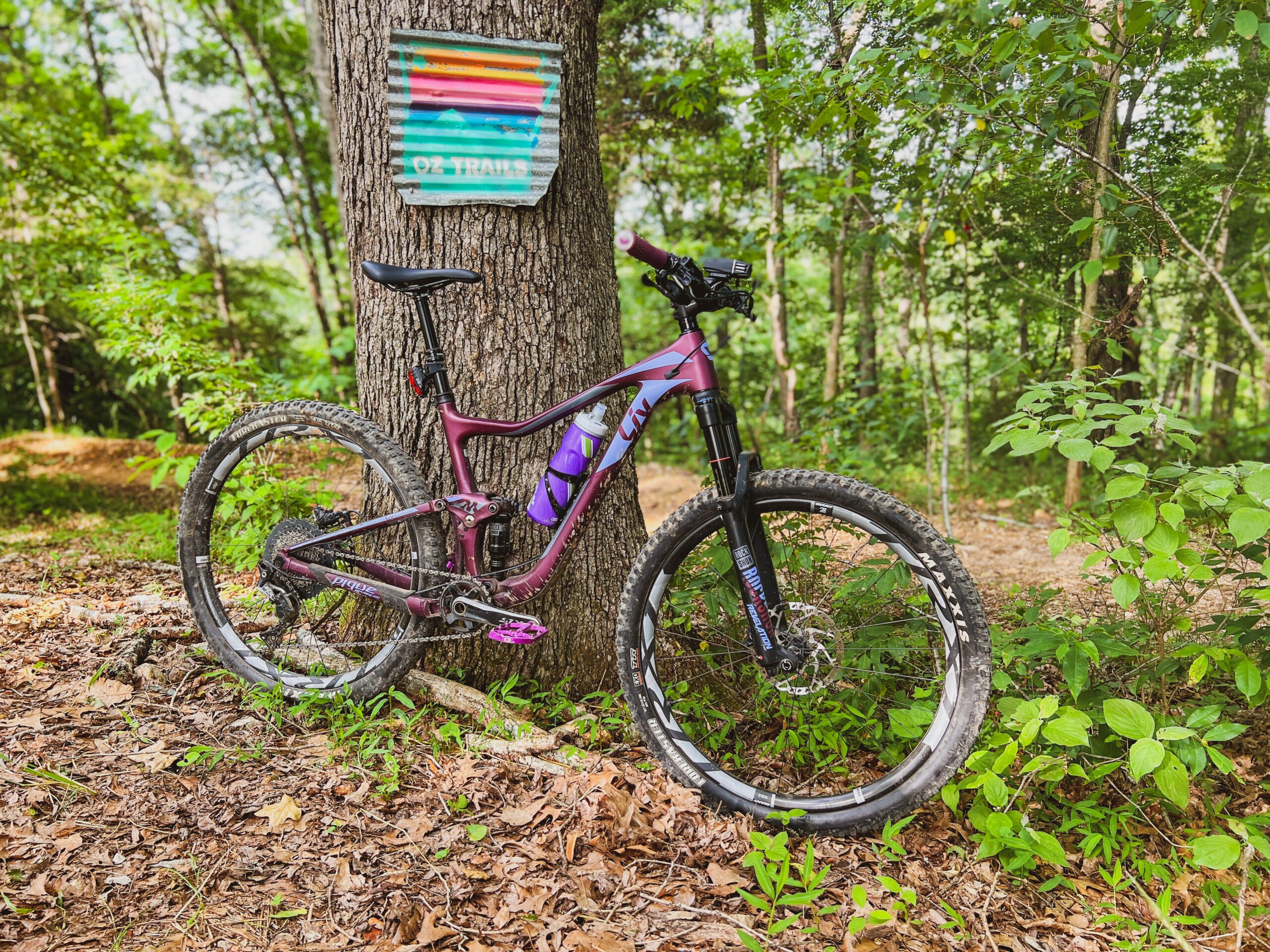 Trail Etiquette for Bicyclists and Hikers