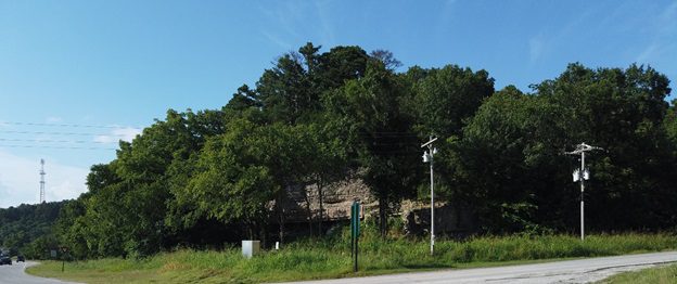 Hanging Bridge at the Back 40